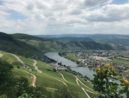 Mosel.jpg