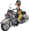 Benutzeravatar