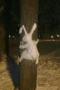 Hase.JPG