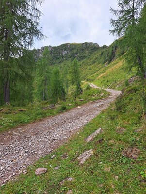 20250822_130026 1.jpg